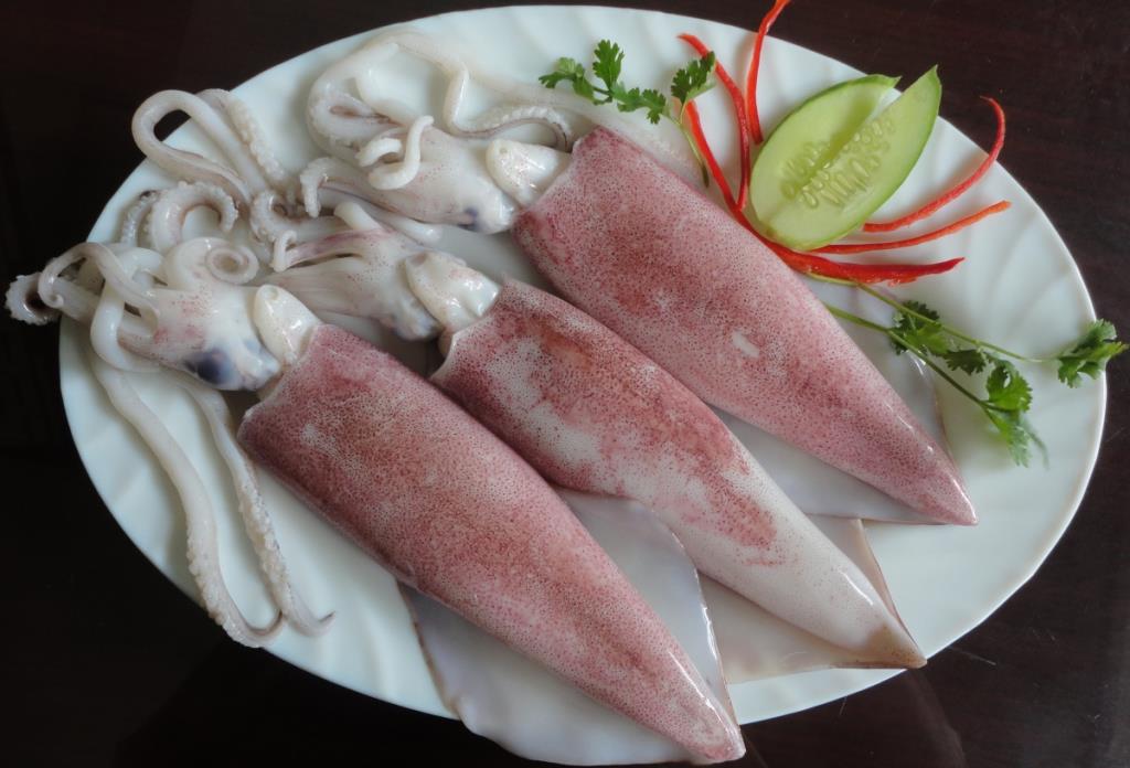 Nên đi du lịch Phan Thiết mùa nào để khám phá vẻ đẹp tự nhiên?