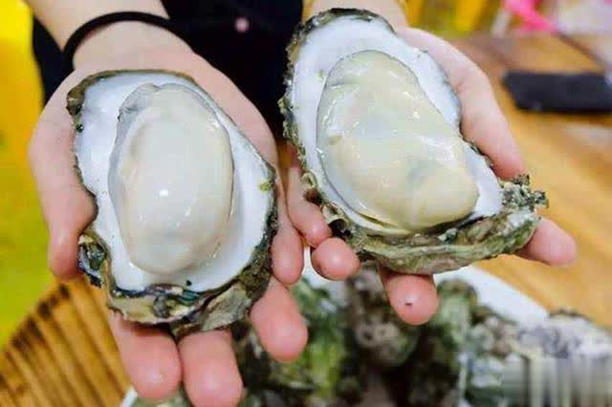 Ăn hàu nhiều có tốt cho sức khỏe không